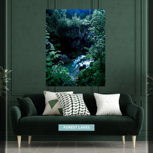 Forest Lakes