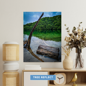 Tree Reflect