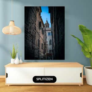 Splitizen