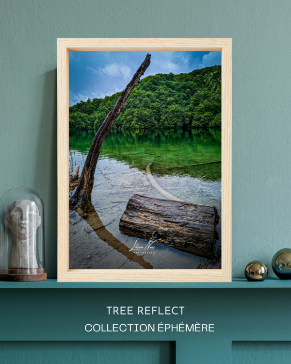 Tree Reflect - CE