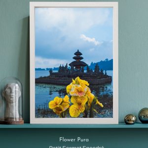 Flower Pura