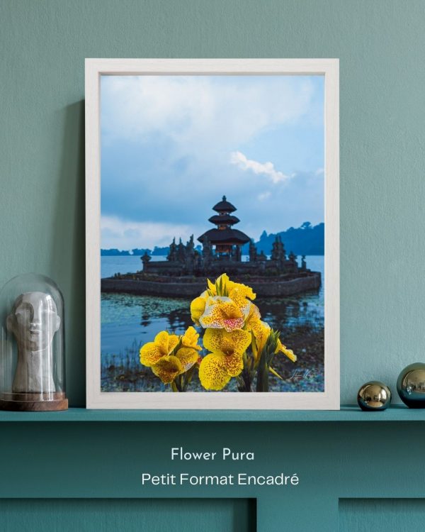 Flower Pura