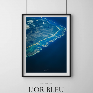 l'Or Bleu